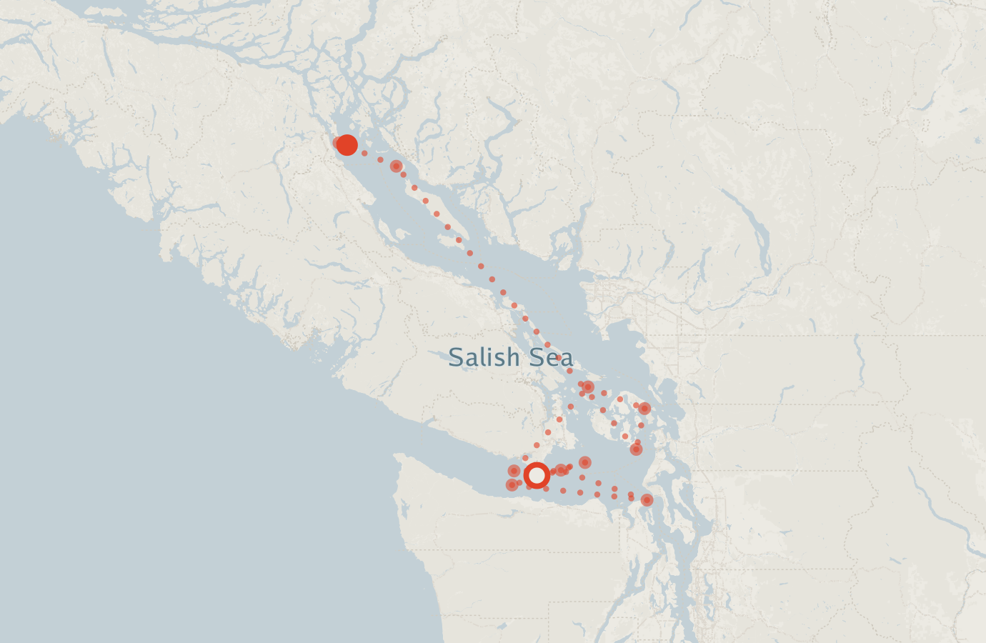 Activity map — real sighting points on an OpenStreetMap basemap