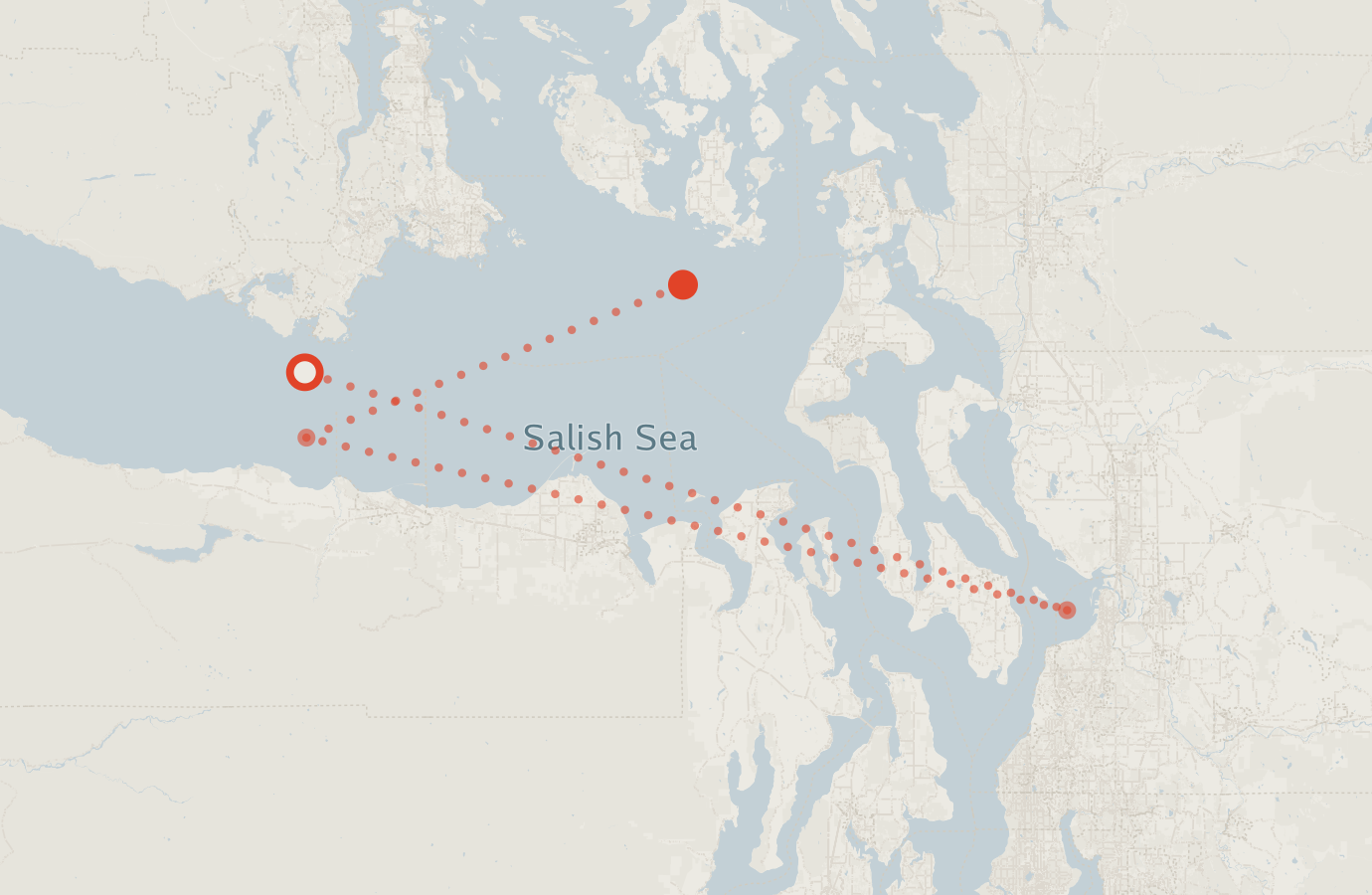 Activity map — real sighting points on an OpenStreetMap basemap