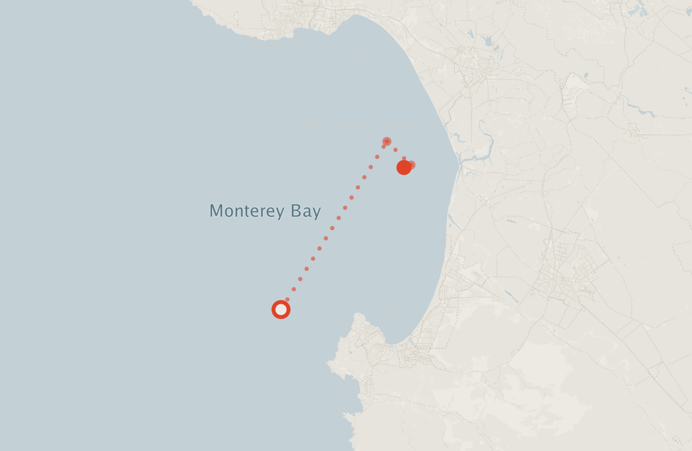 Activity map — real sighting points on an OpenStreetMap basemap