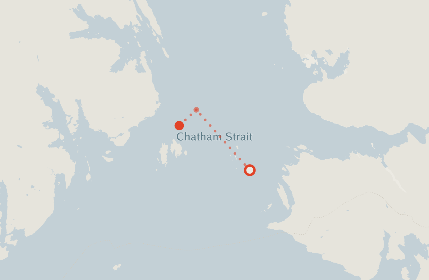 Activity map — real sighting points on an OpenStreetMap basemap