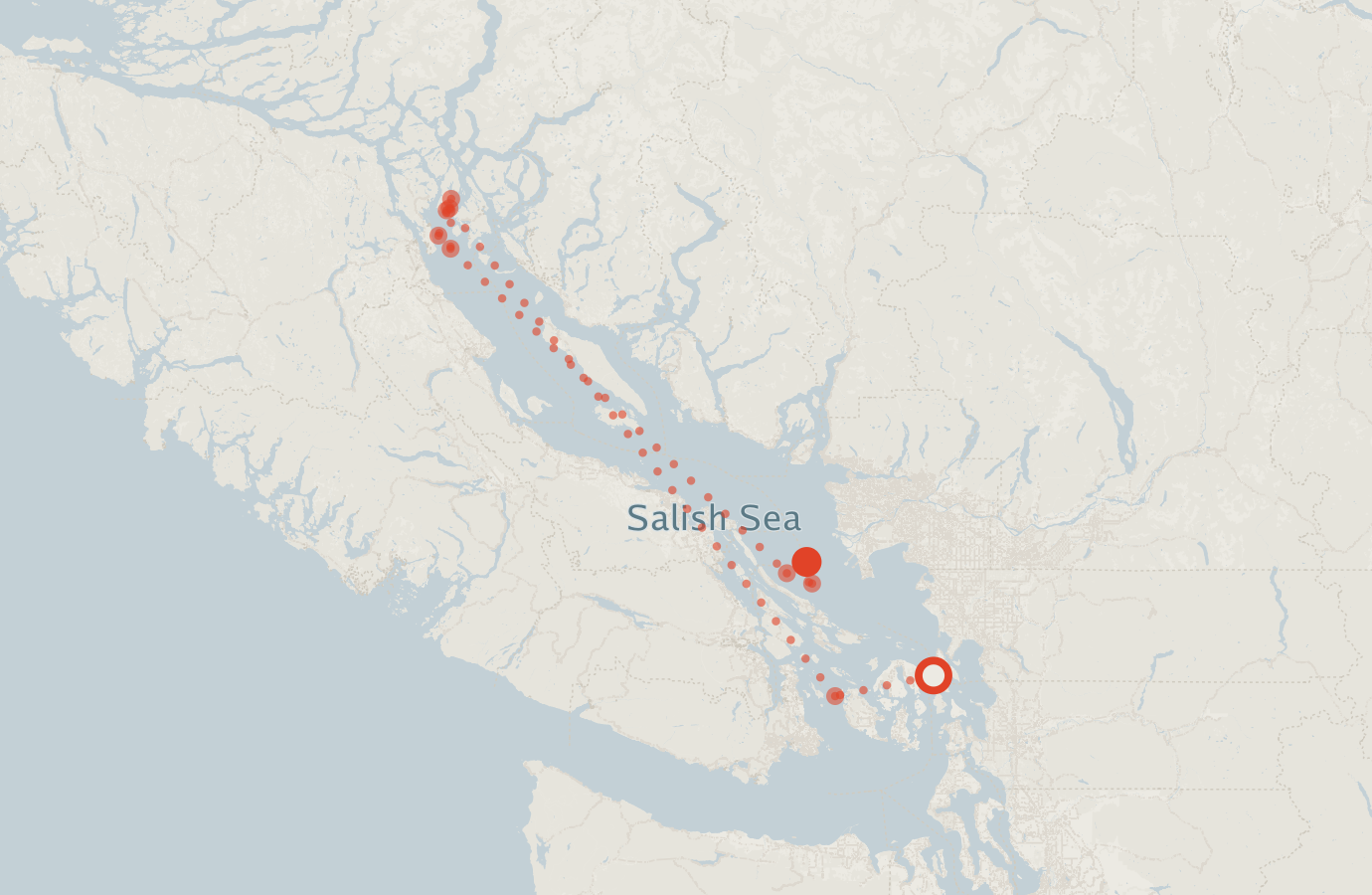Activity map — real sighting points on an OpenStreetMap basemap
