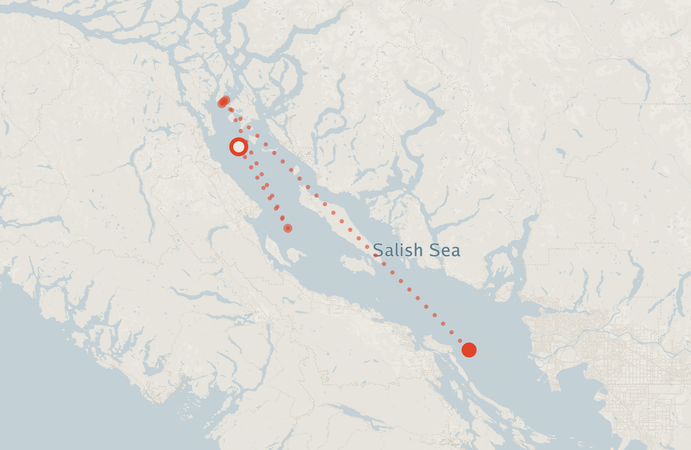 Activity map — real sighting points on an OpenStreetMap basemap