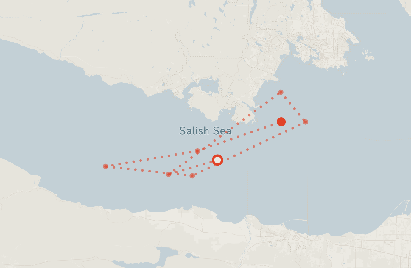 Activity map — real sighting points on an OpenStreetMap basemap