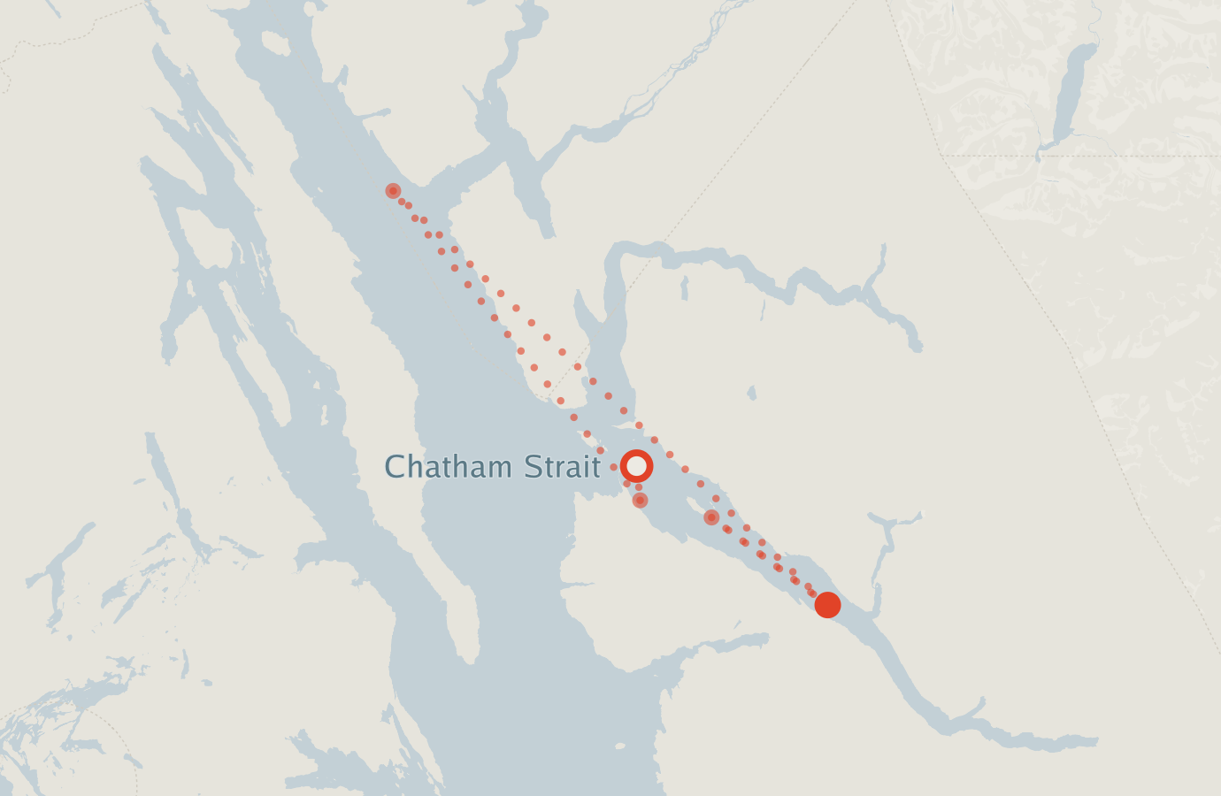Activity map — real sighting points on an OpenStreetMap basemap