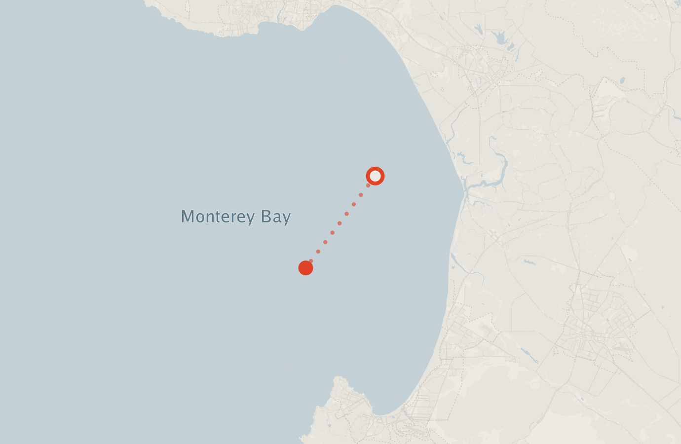 Activity map — real sighting points on an OpenStreetMap basemap