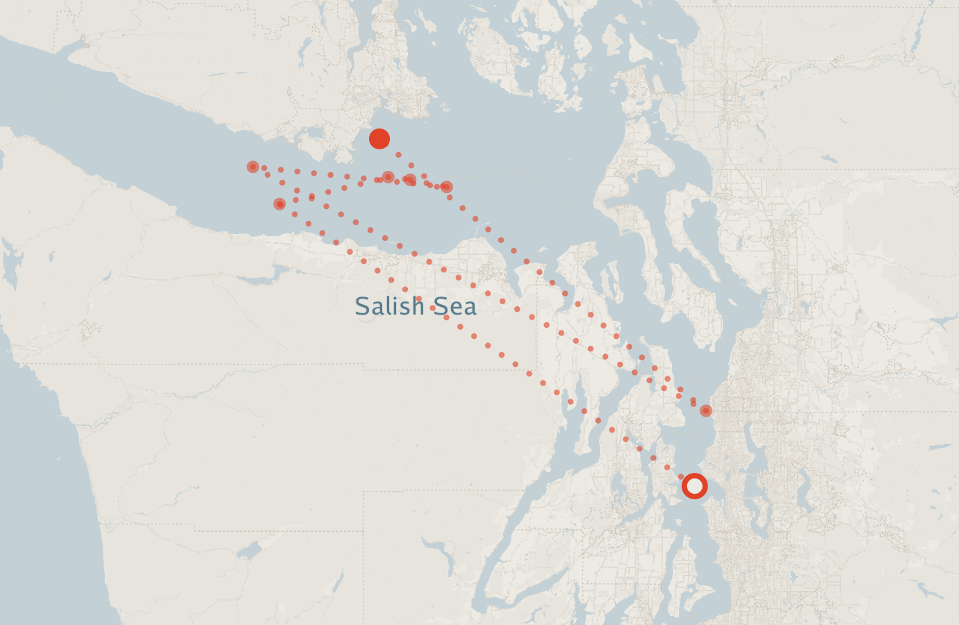 Activity map — real sighting points on an OpenStreetMap basemap