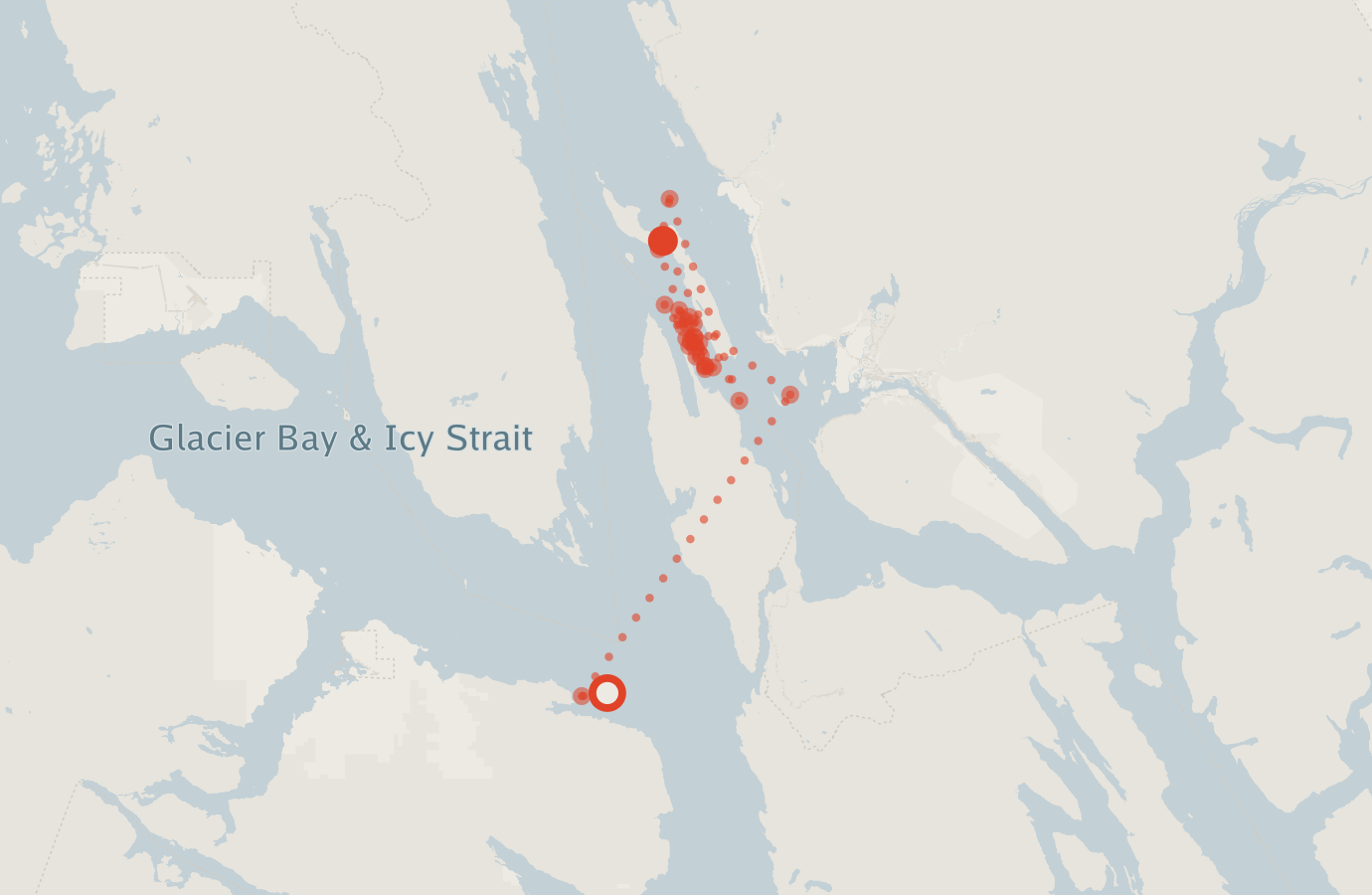 Activity map — real sighting points on an OpenStreetMap basemap