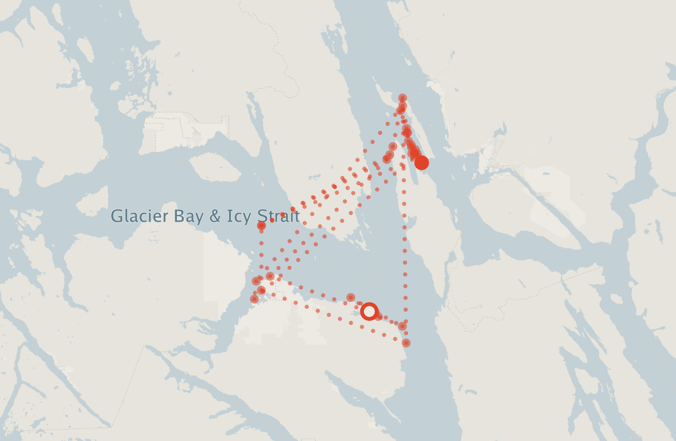 Activity map — real sighting points on an OpenStreetMap basemap