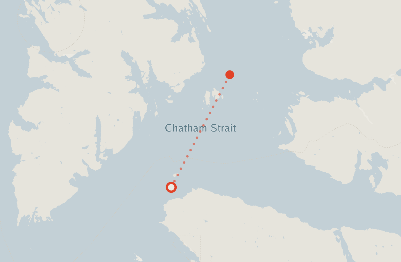 Activity map — real sighting points on an OpenStreetMap basemap