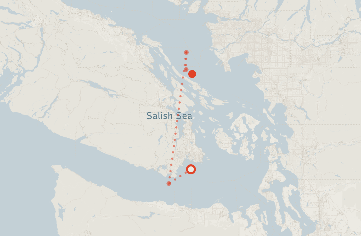 Activity map — real sighting points on an OpenStreetMap basemap