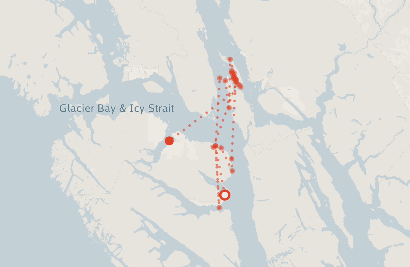 Activity map — real sighting points on an OpenStreetMap basemap