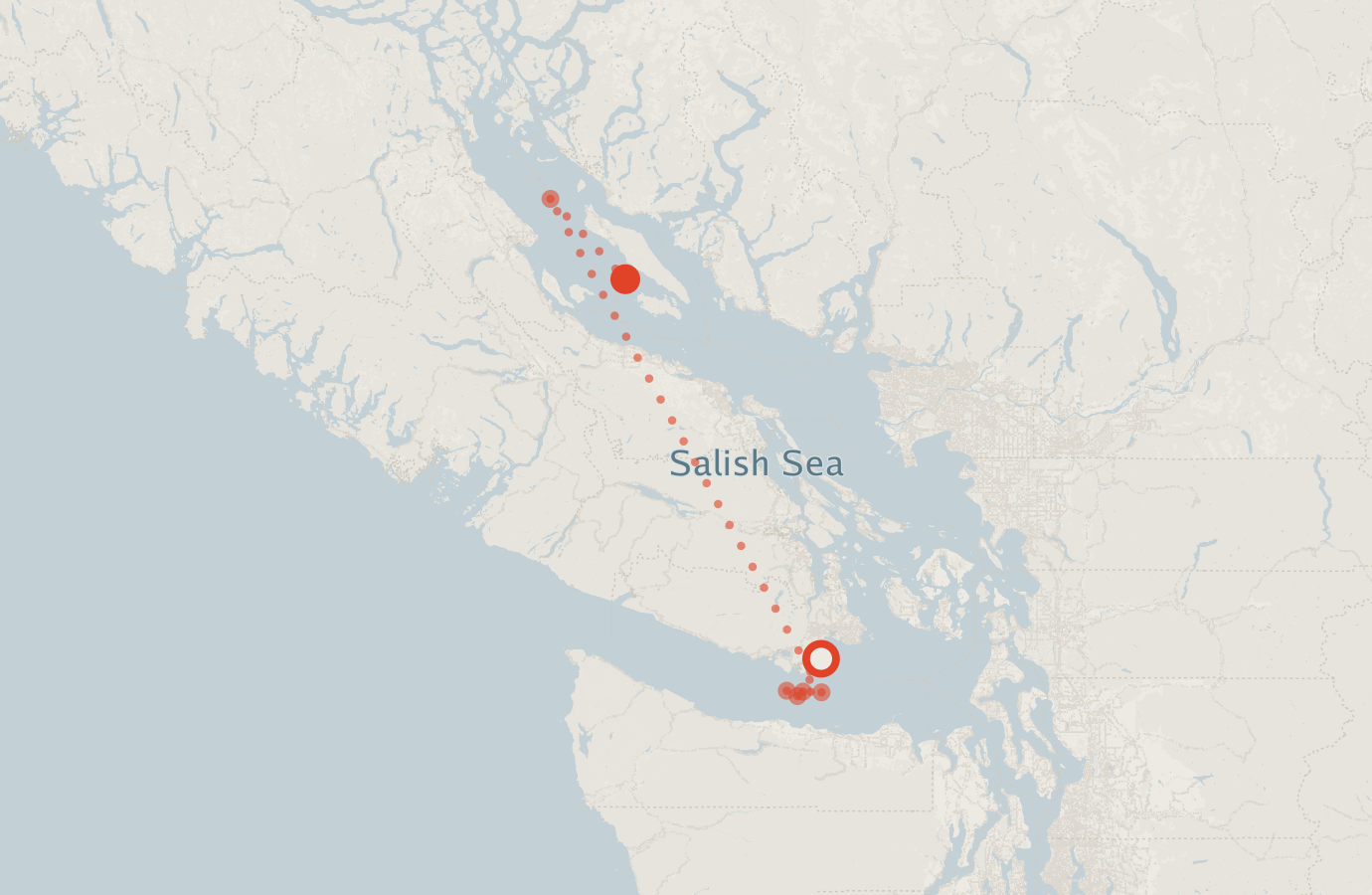 Activity map — real sighting points on an OpenStreetMap basemap