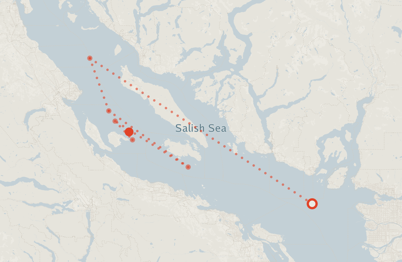 Activity map — real sighting points on an OpenStreetMap basemap