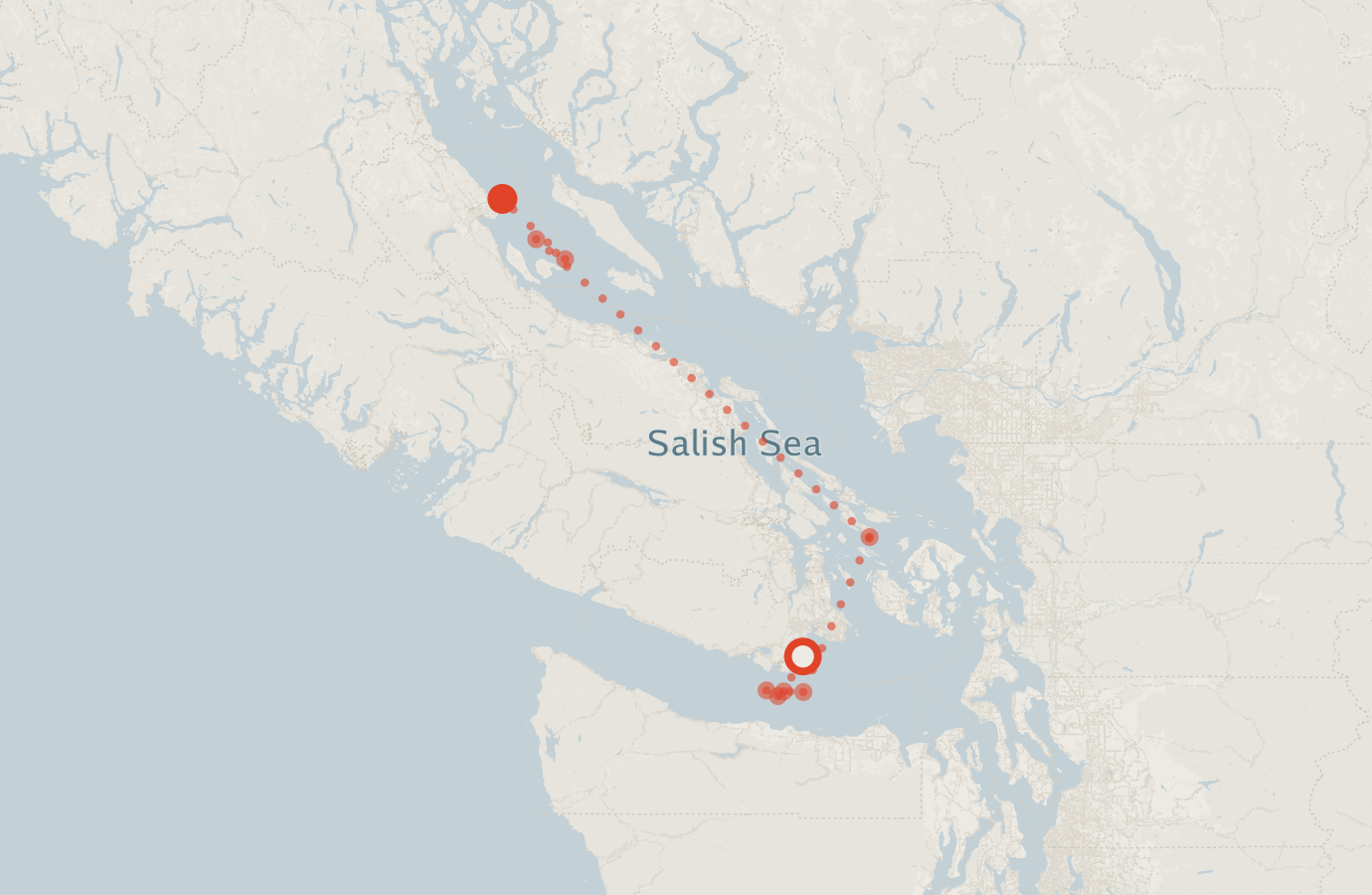 Activity map — real sighting points on an OpenStreetMap basemap