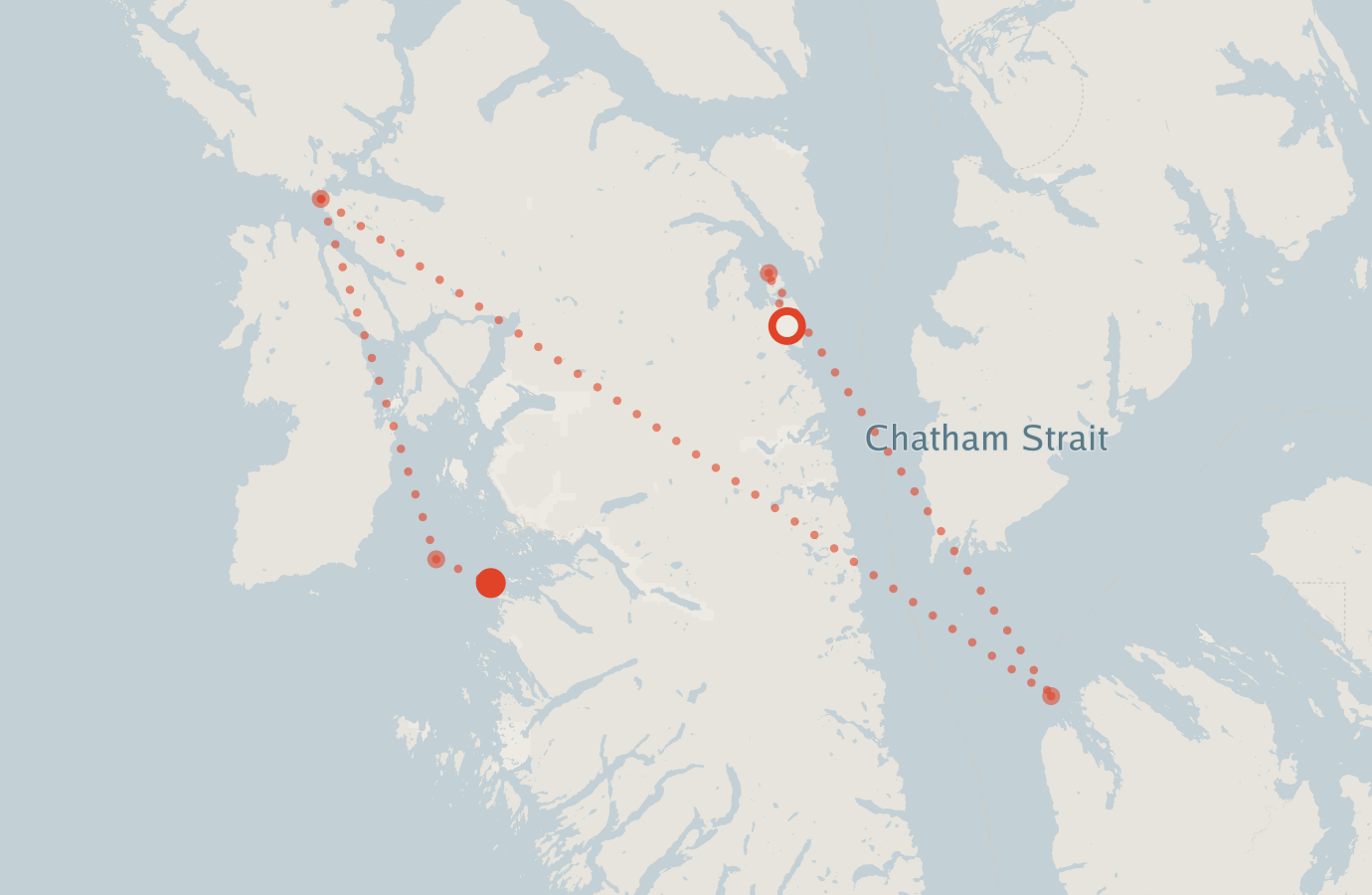 Activity map — real sighting points on an OpenStreetMap basemap