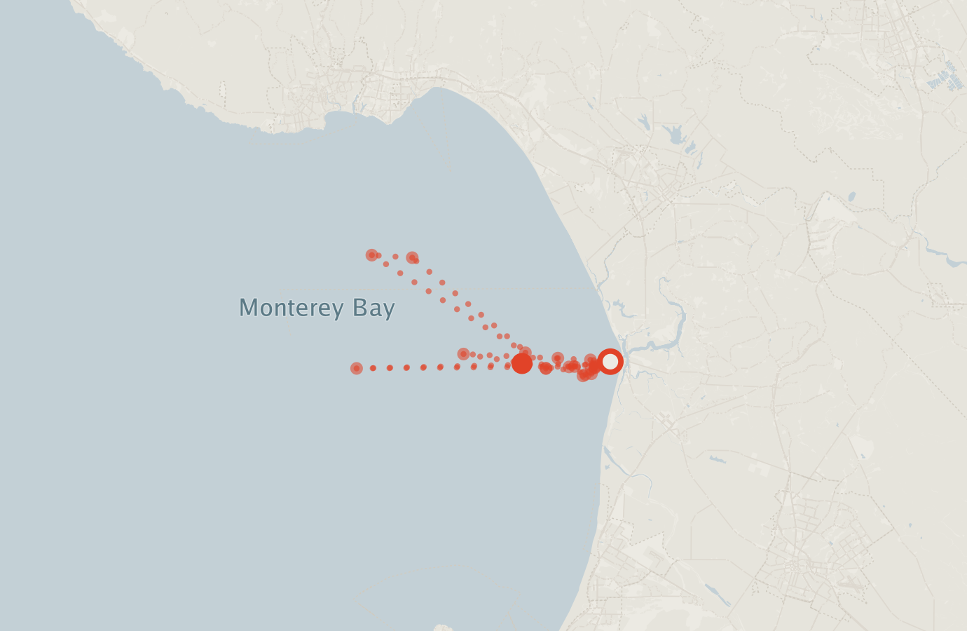 Activity map — real sighting points on an OpenStreetMap basemap