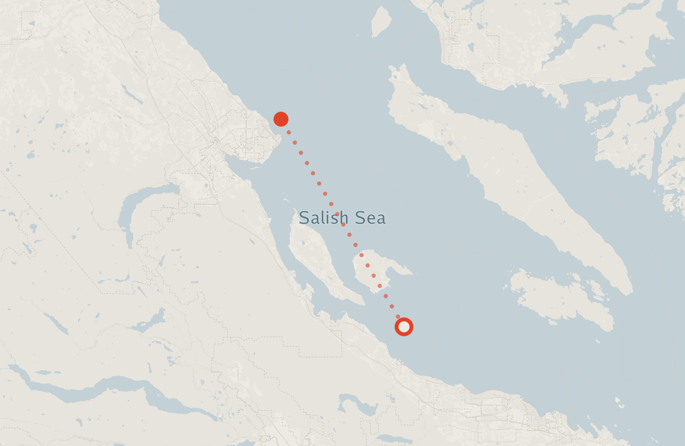 Activity map — real sighting points on an OpenStreetMap basemap