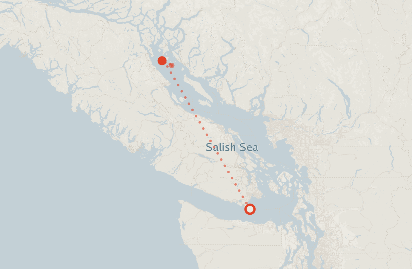 Activity map — real sighting points on an OpenStreetMap basemap