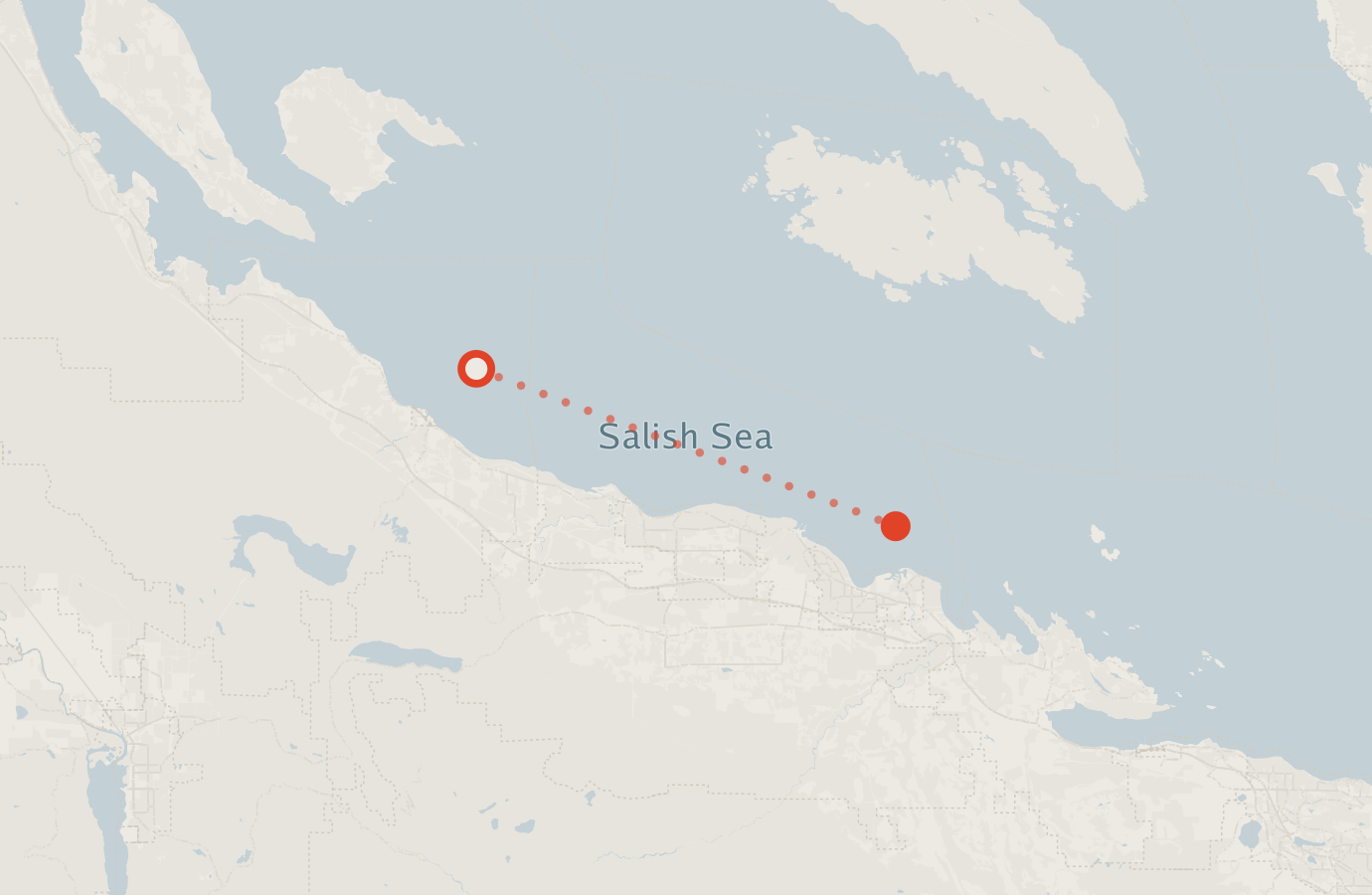 Activity map — real sighting points on an OpenStreetMap basemap