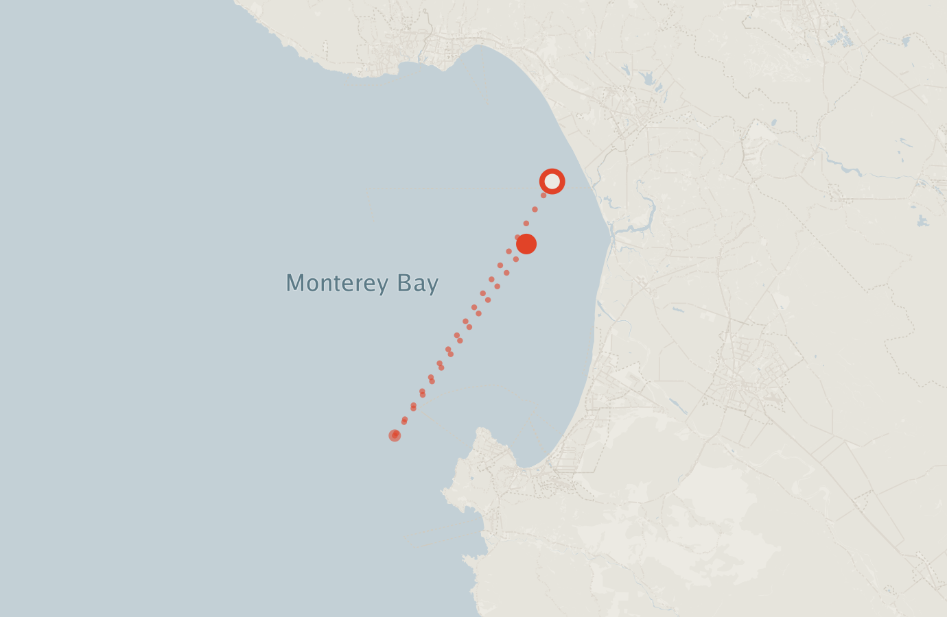 Activity map — real sighting points on an OpenStreetMap basemap