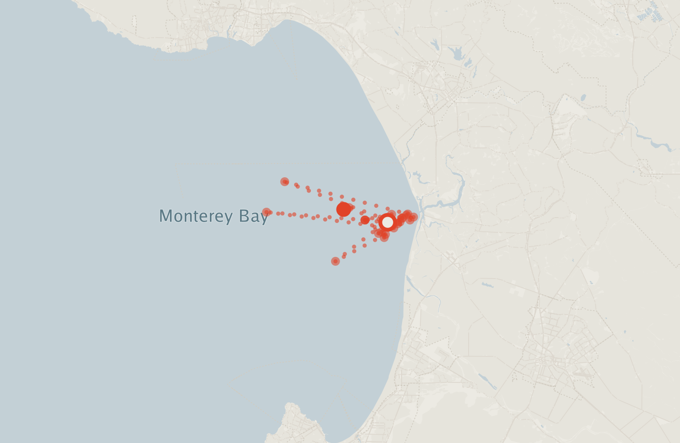 Activity map — real sighting points on an OpenStreetMap basemap