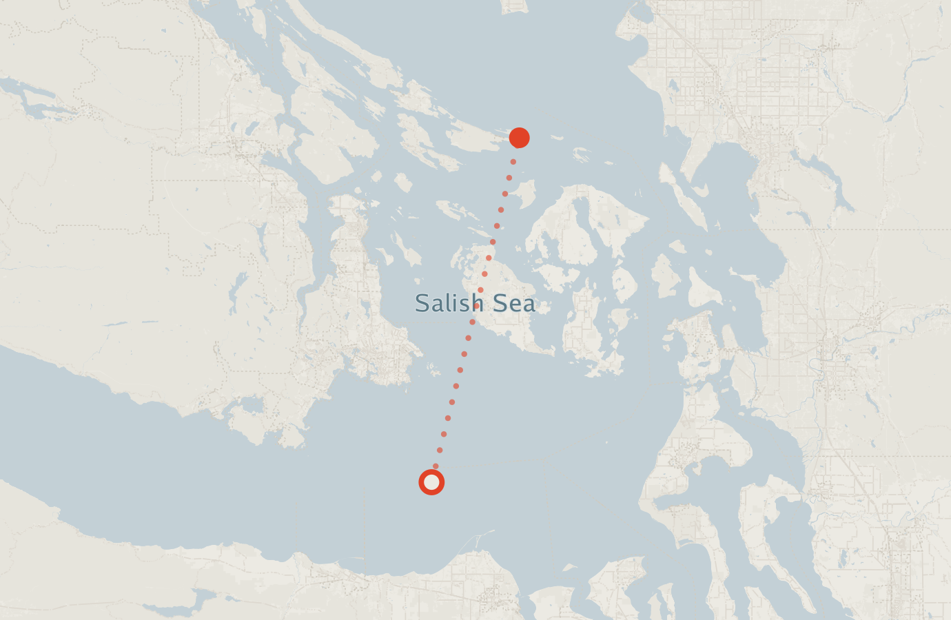 Activity map — real sighting points on an OpenStreetMap basemap