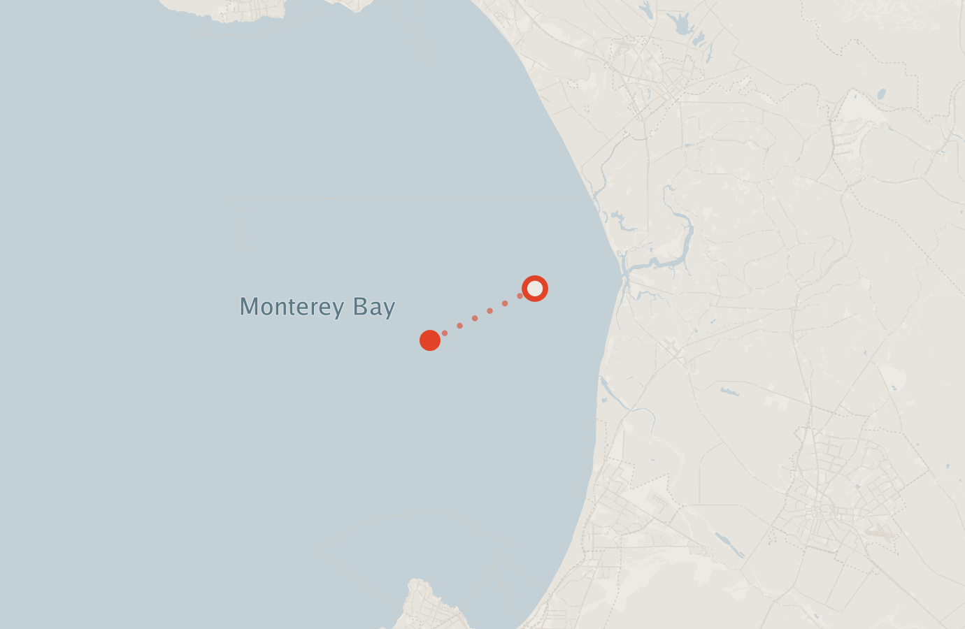 Activity map — real sighting points on an OpenStreetMap basemap