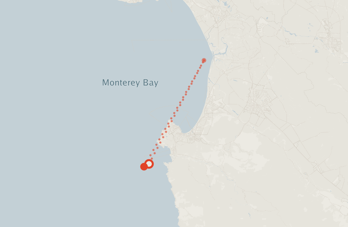 Activity map — real sighting points on an OpenStreetMap basemap