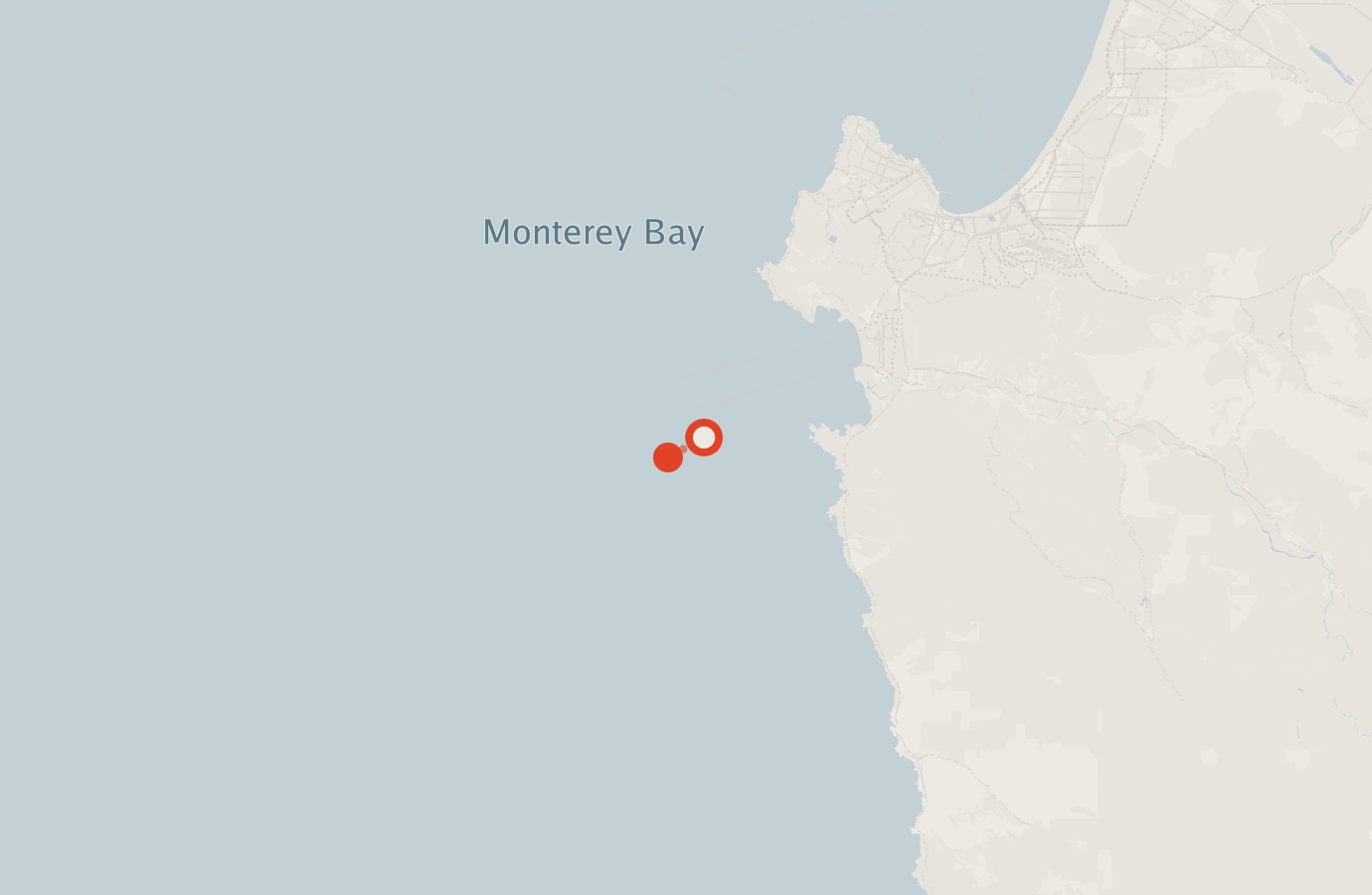 Activity map — real sighting points on an OpenStreetMap basemap