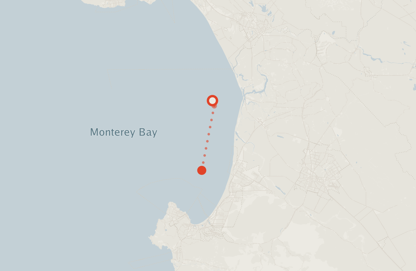 Activity map — real sighting points on an OpenStreetMap basemap