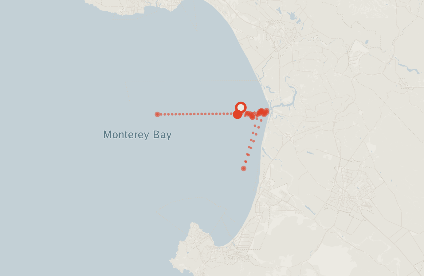 Activity map — real sighting points on an OpenStreetMap basemap