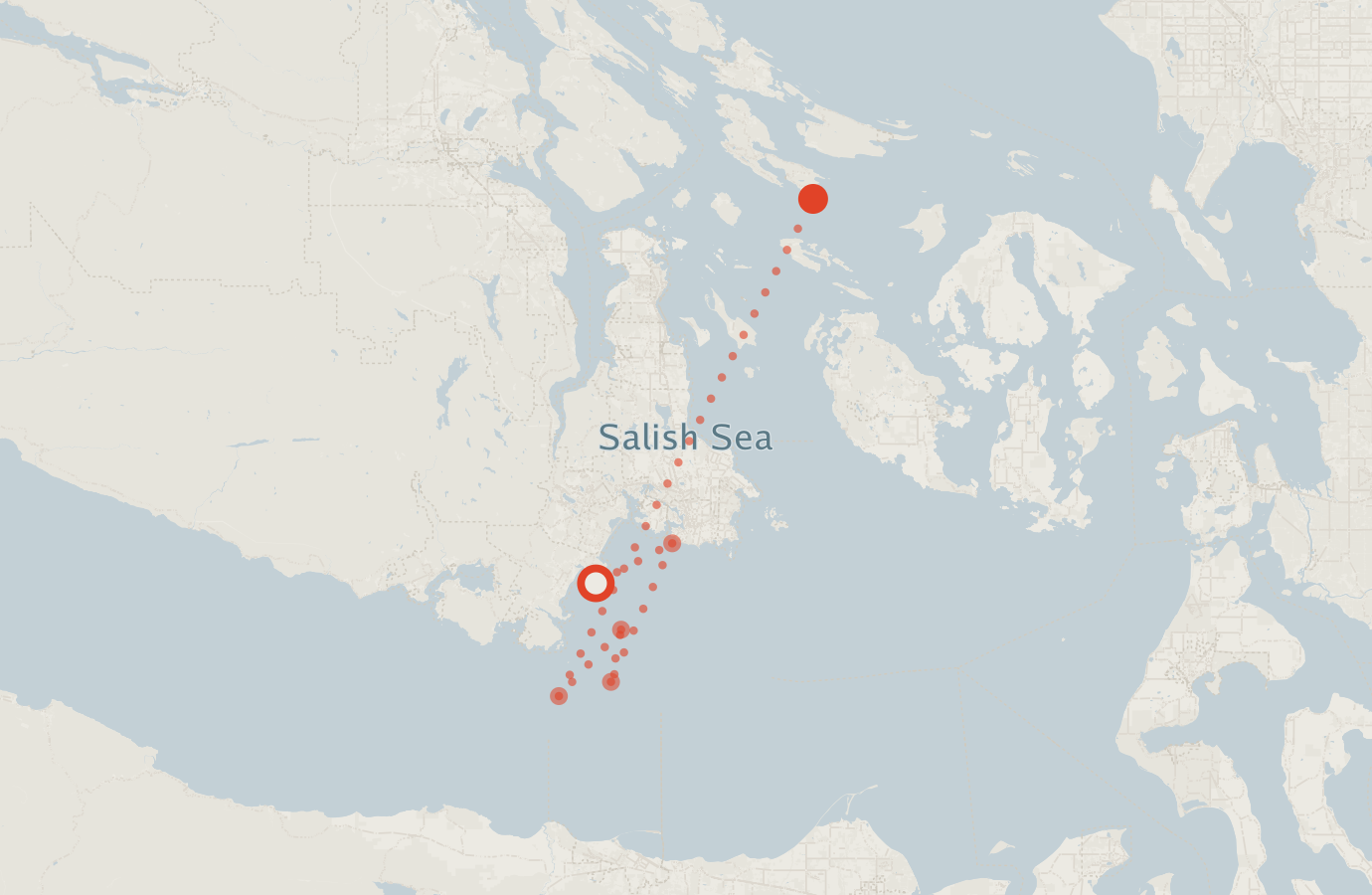 Activity map — real sighting points on an OpenStreetMap basemap