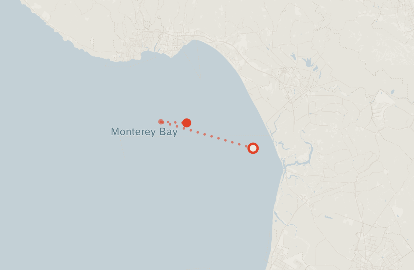 Activity map — real sighting points on an OpenStreetMap basemap