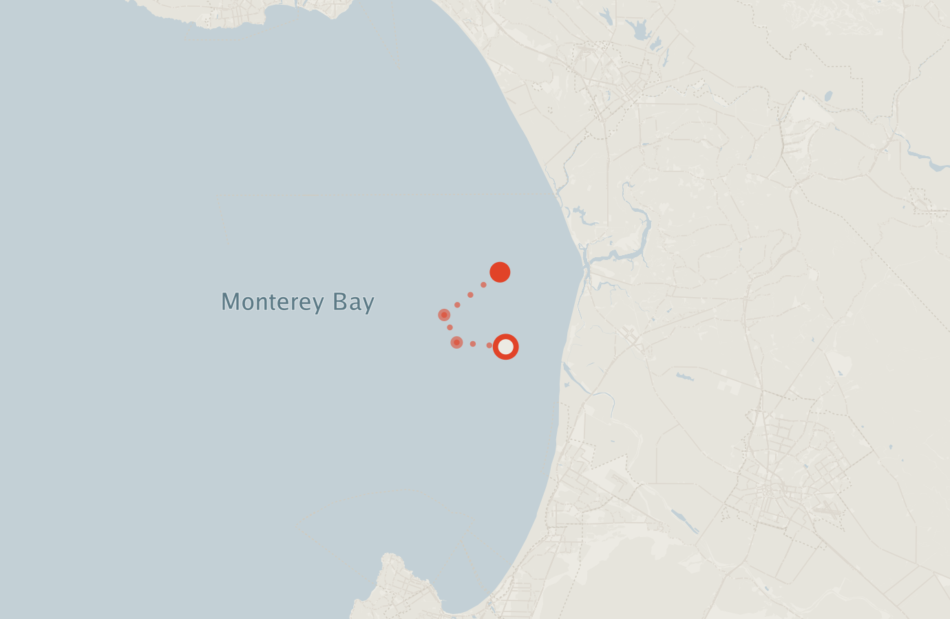 Activity map — real sighting points on an OpenStreetMap basemap