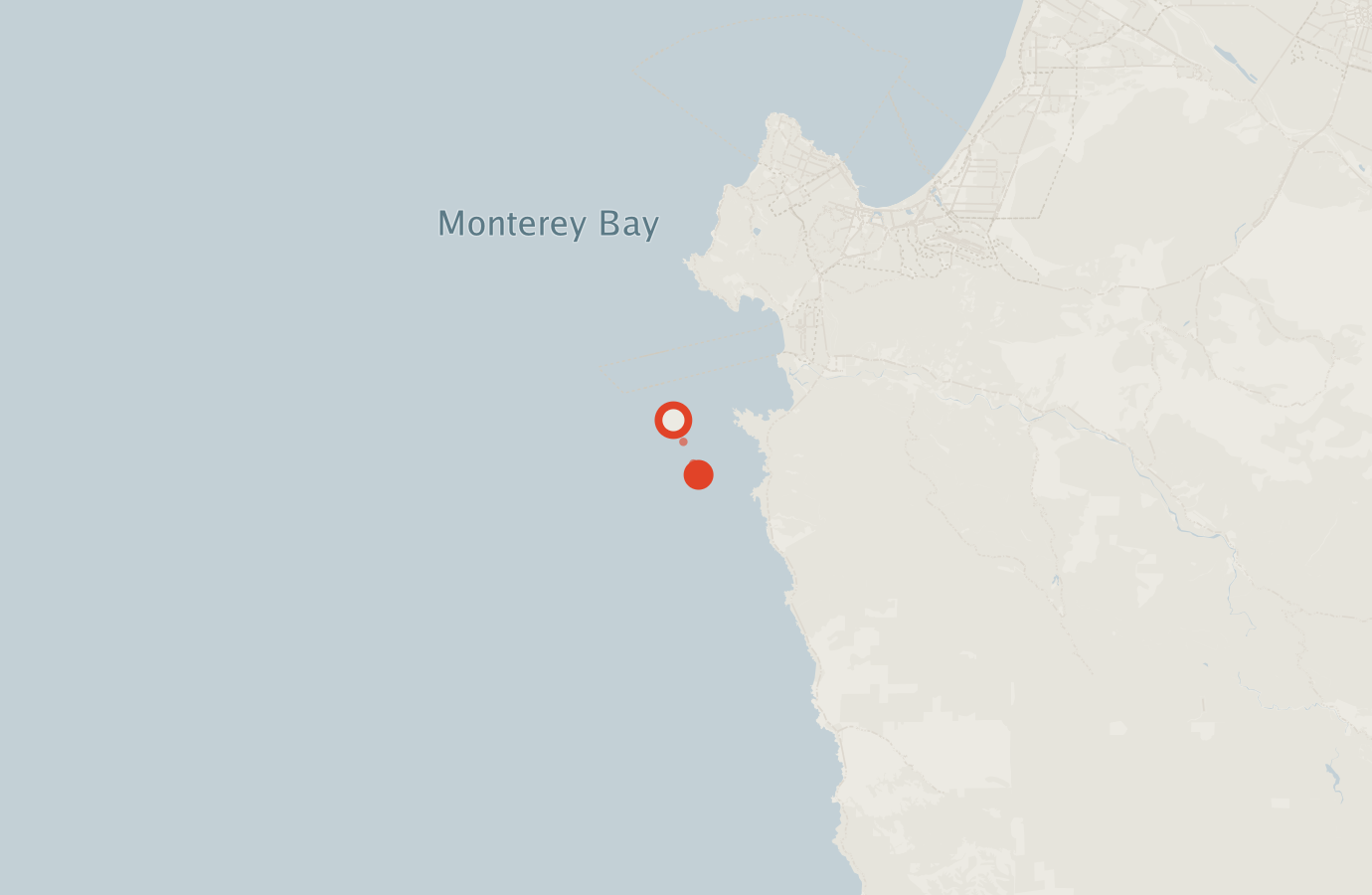 Activity map — real sighting points on an OpenStreetMap basemap