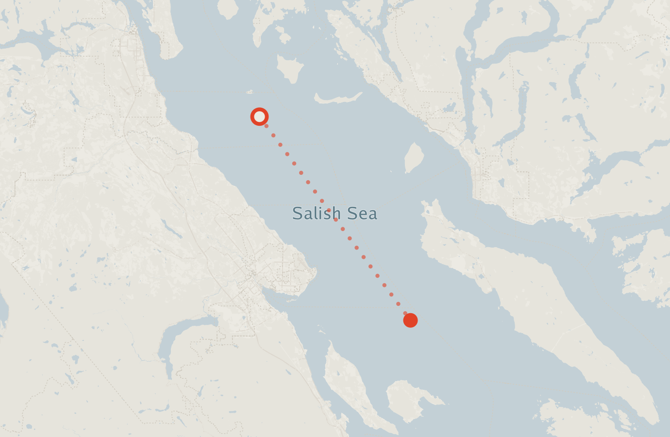 Activity map — real sighting points on an OpenStreetMap basemap