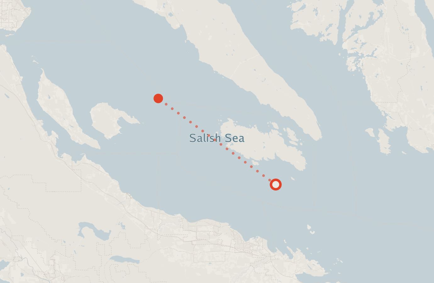 Activity map — real sighting points on an OpenStreetMap basemap
