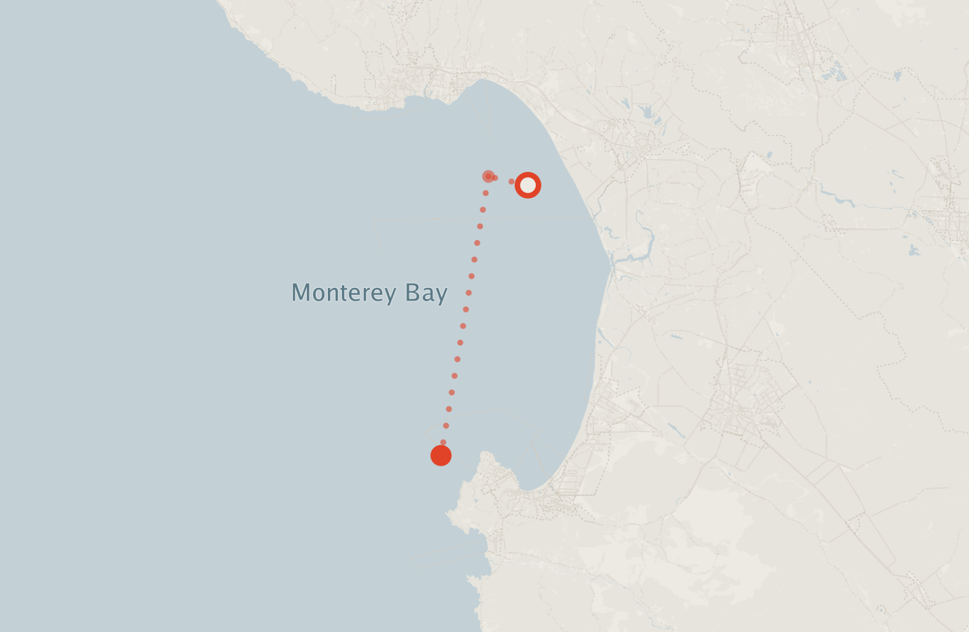 Activity map — real sighting points on an OpenStreetMap basemap