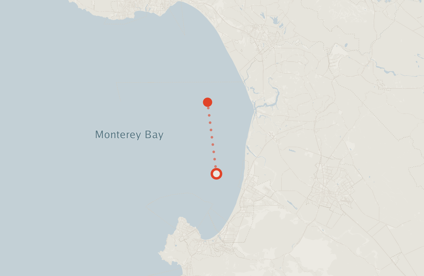 Activity map — real sighting points on an OpenStreetMap basemap