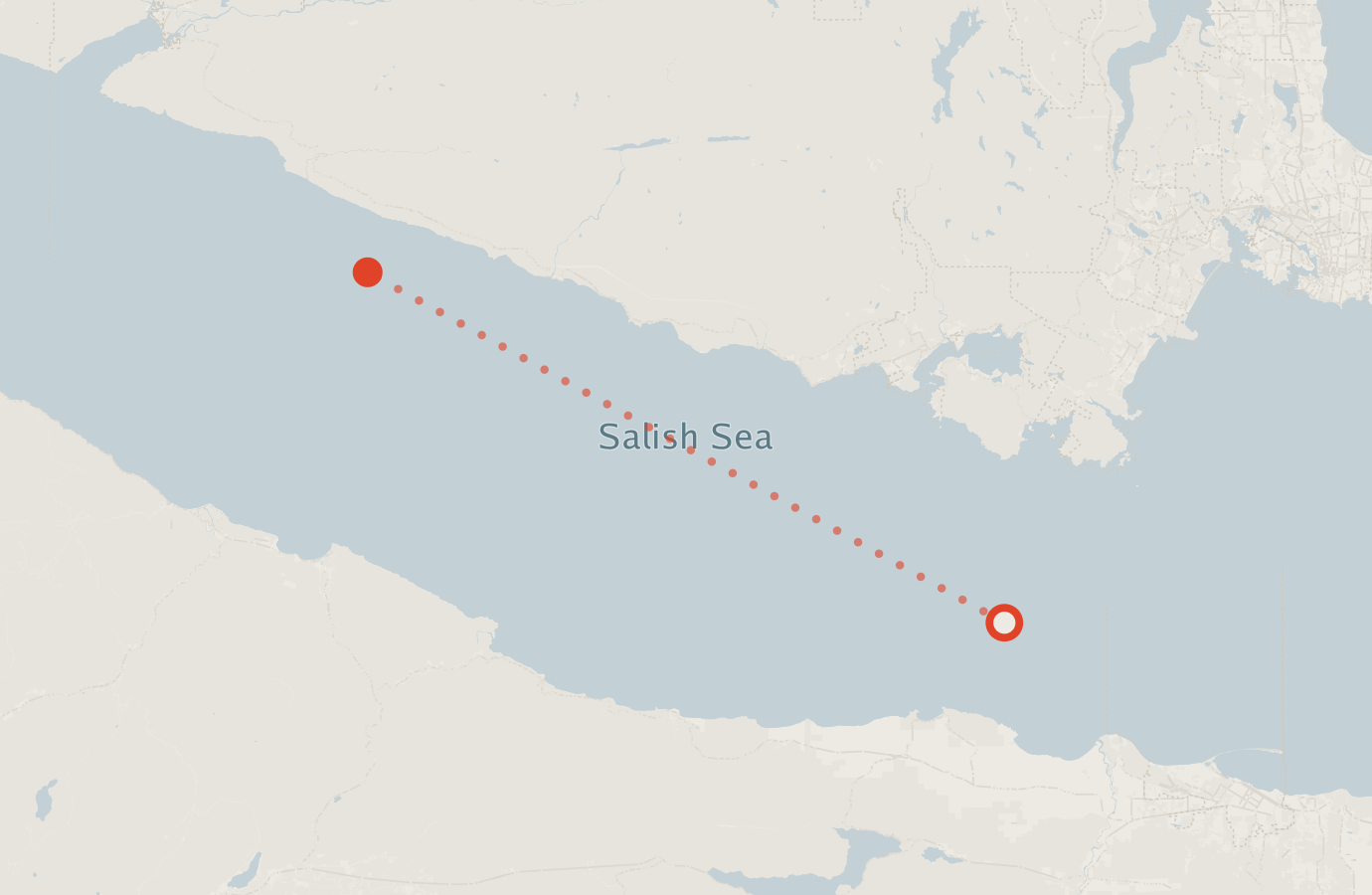 Activity map — real sighting points on an OpenStreetMap basemap