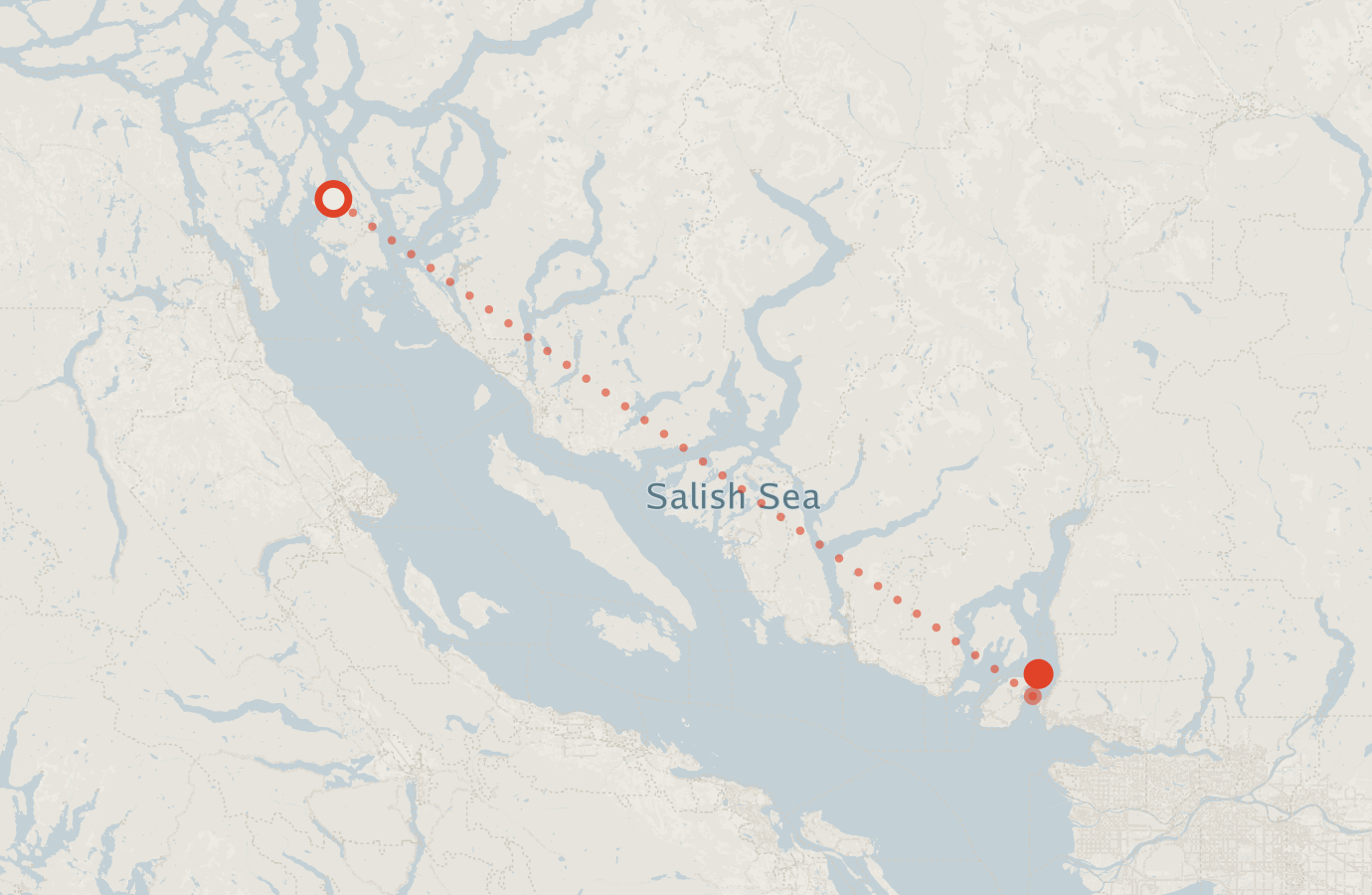 Activity map — real sighting points on an OpenStreetMap basemap