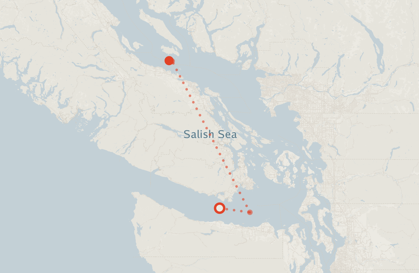 Activity map — real sighting points on an OpenStreetMap basemap