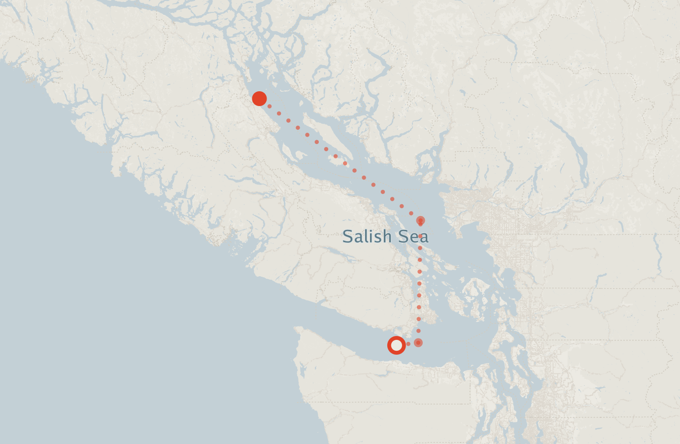 Activity map — real sighting points on an OpenStreetMap basemap