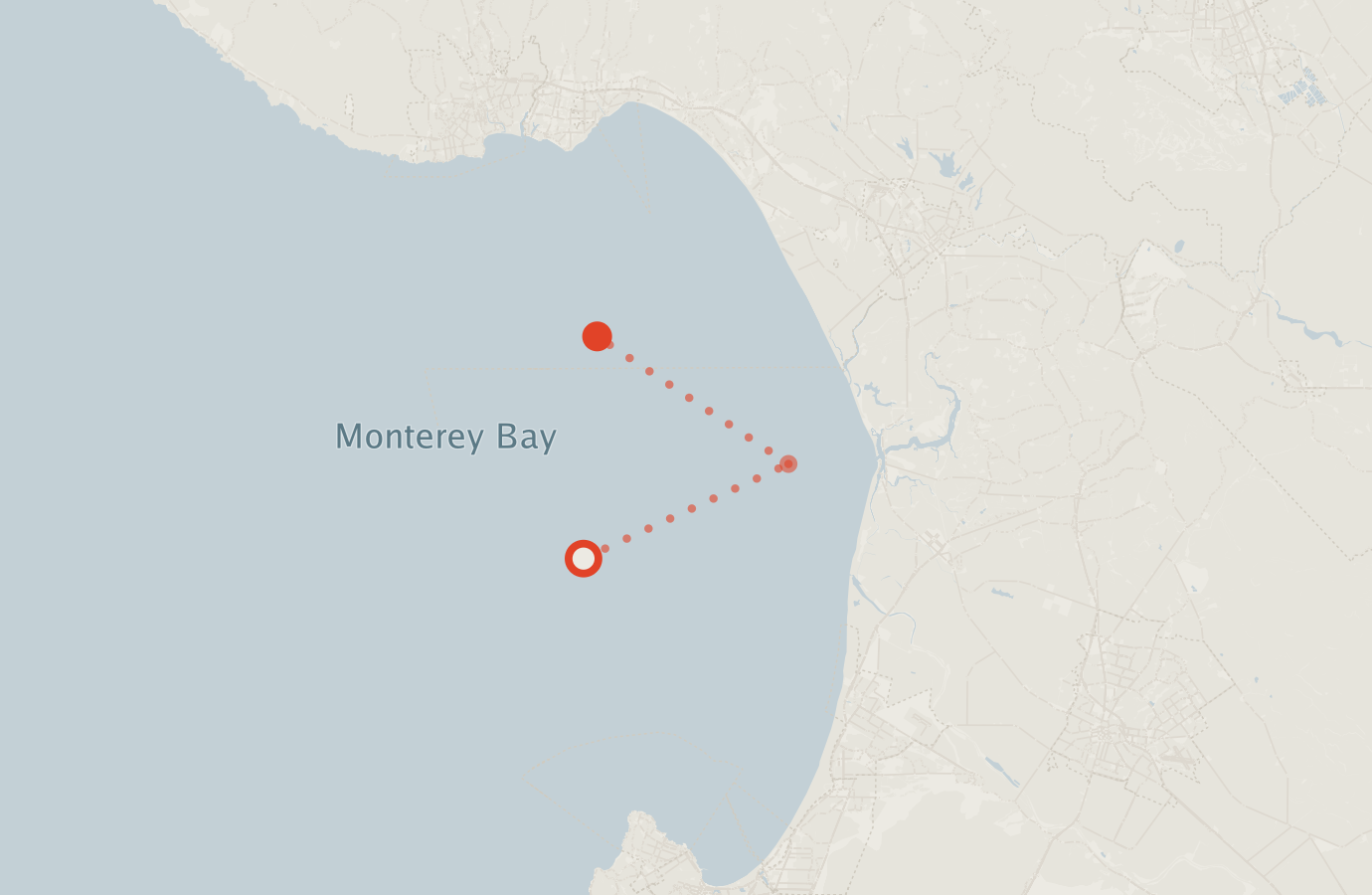 Activity map — real sighting points on an OpenStreetMap basemap