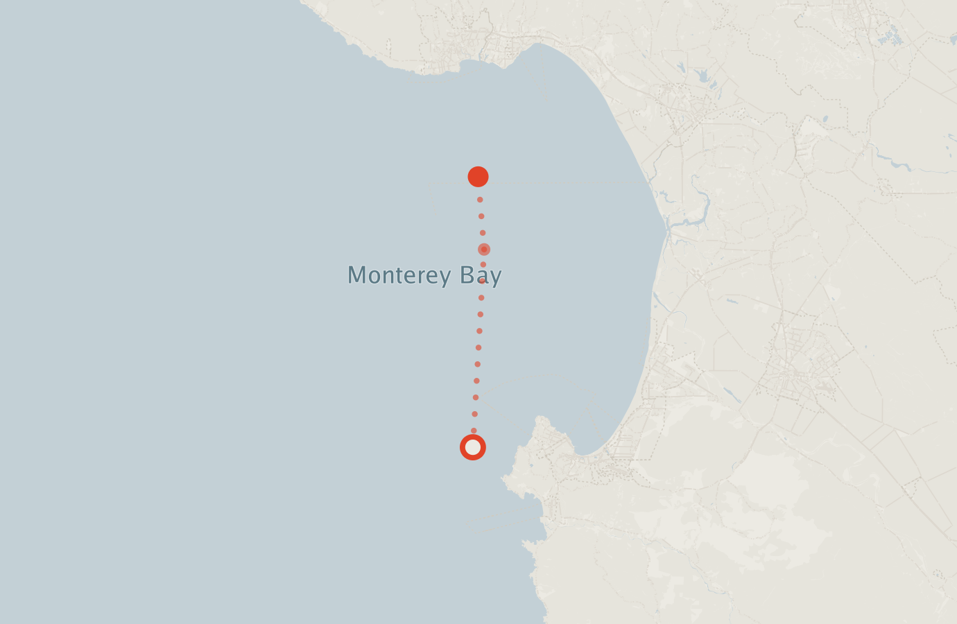Activity map — real sighting points on an OpenStreetMap basemap