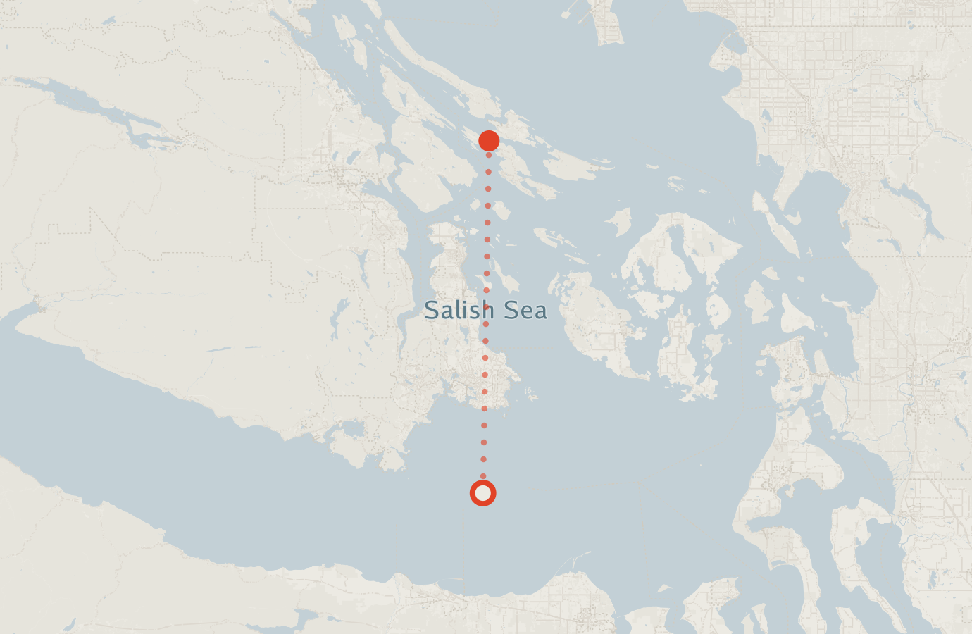 Activity map — real sighting points on an OpenStreetMap basemap
