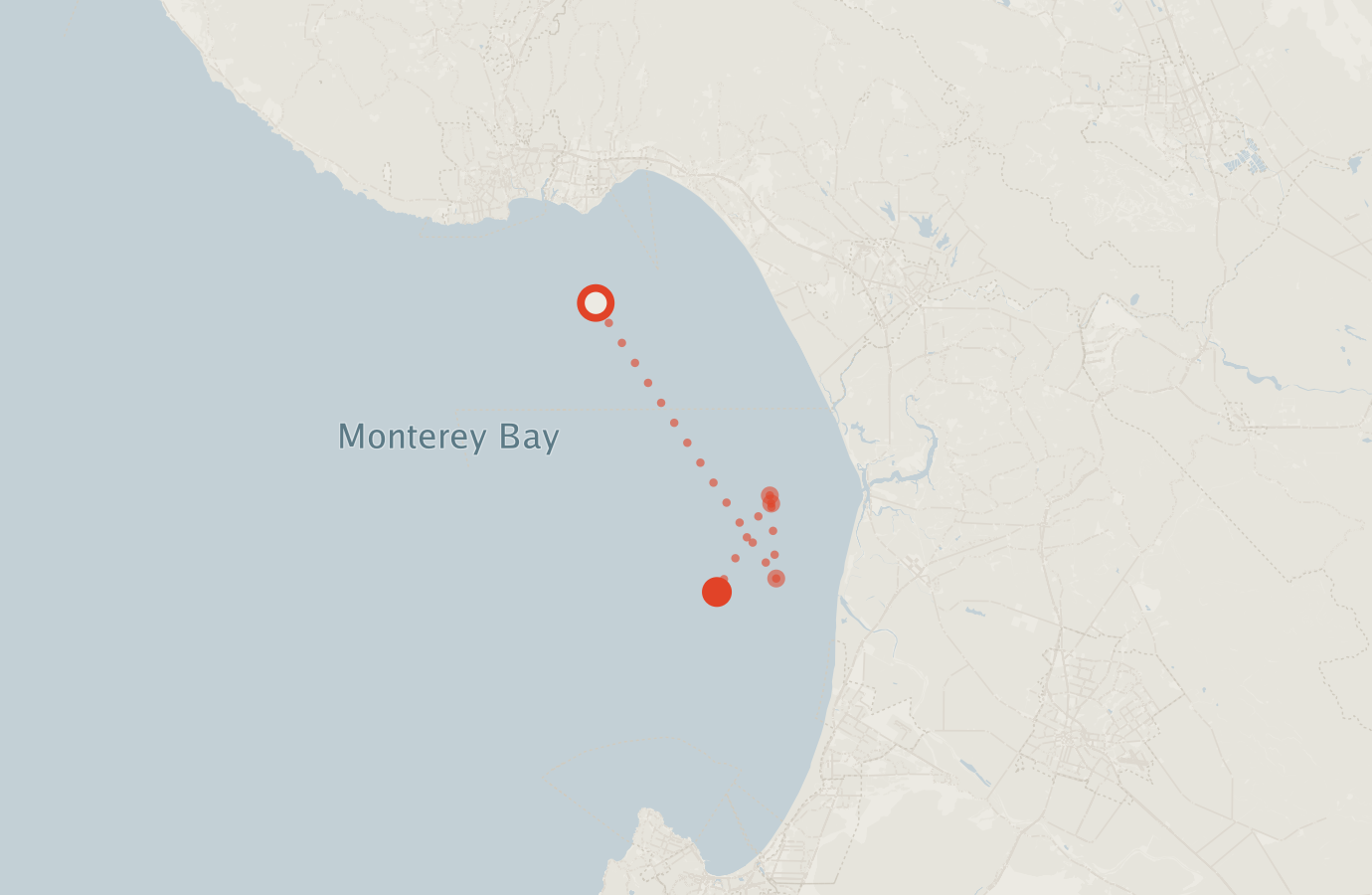 Activity map — real sighting points on an OpenStreetMap basemap