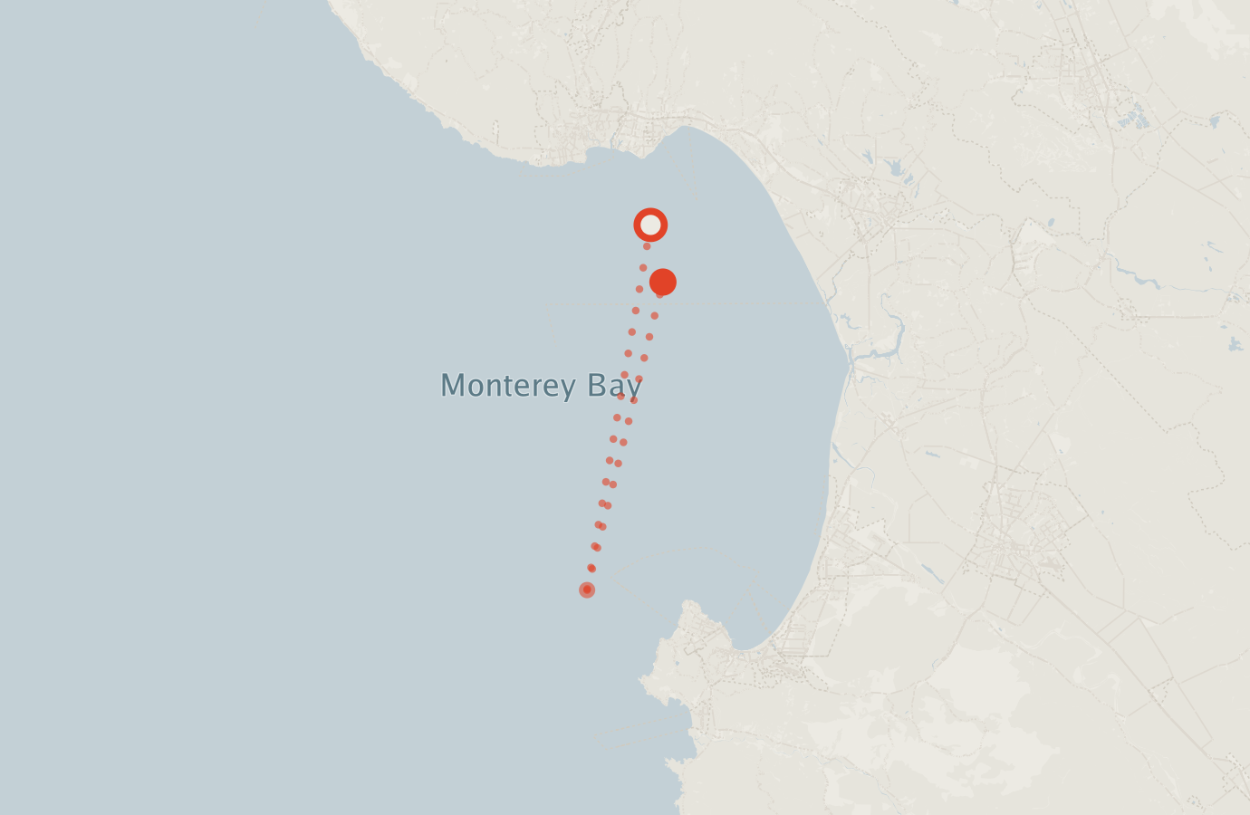 Activity map — real sighting points on an OpenStreetMap basemap