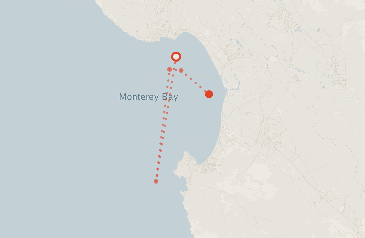 Activity map — real sighting points on an OpenStreetMap basemap