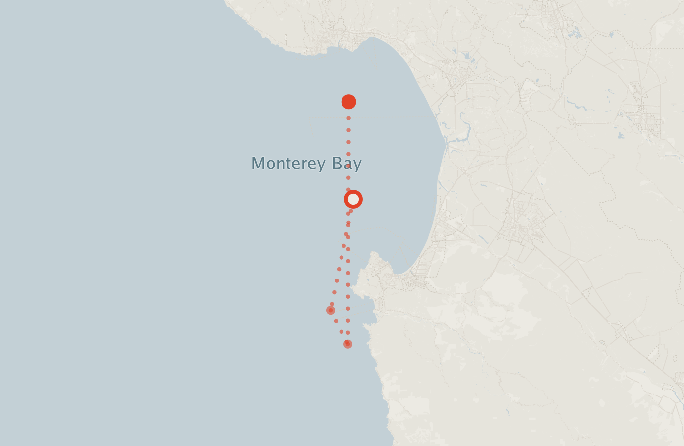 Activity map — real sighting points on an OpenStreetMap basemap